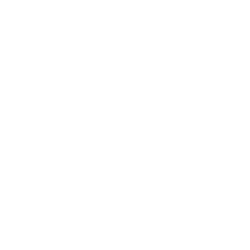 ROK Servis